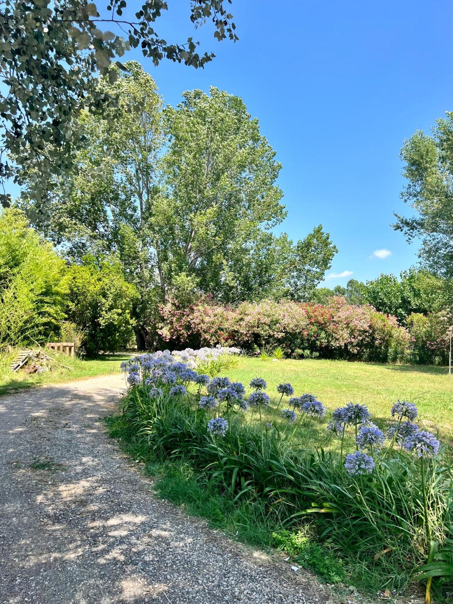 Domaine Du Lac De La Vallee La Roquette-sur-Siagne Eksteriør billede
